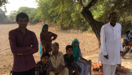 haryana election