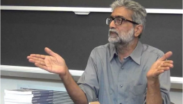 gautam navlakha