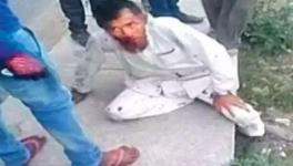pehlu khan case