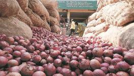 onion