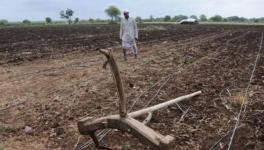 Grabbing Land of the Poor?