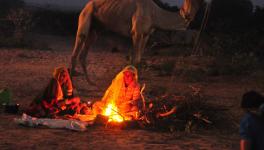 pushkar mela
