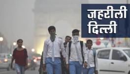 jahrili delhi