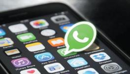whatsapp 