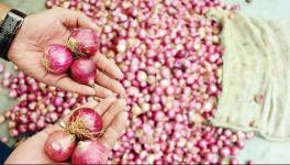 onion