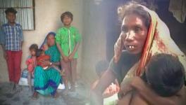 jharkhand elections
