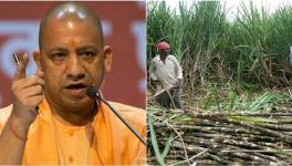यूपी किसान
