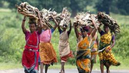 jharkhand elections