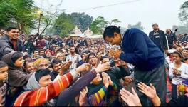 AAP wins