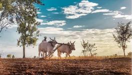 farmers in budget