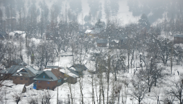 jammu and kashmir