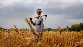 Agriculture