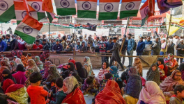 shaheen bagh