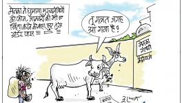 cartoon click