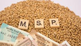 MSP-for-Rabi-Crops