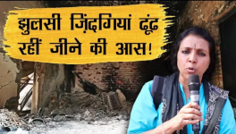 bhasha singh
