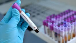 coronavirus