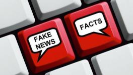 fact check