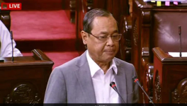 Gogoi