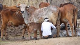 ग्रामीण भारत 