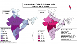 coronavirus