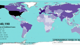 coronavirus