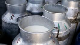 ग्रामीण भारत