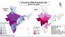 coronavirus