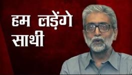gautam navlakha