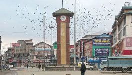 jammu and kashmir