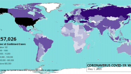 coronavirus