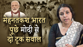 bhasha singh