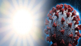 coronavirus