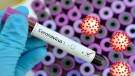 coronavirus