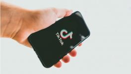 tiktok ban in india 