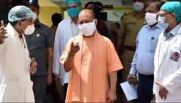 Yogi