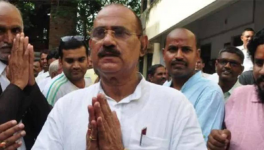 विधायक विजय मिश्रा 