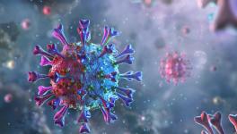 COVID-19: Deceased Patients’ Autopsies Show Remarkable Immune Failure