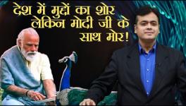 देश में मुद्दों का शोर लेकिन मोदी जी के साथ मोर!