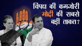 राहुल गाँधी को कांग्रेस अध्यक्ष पद से इस्तीफ़ा नहीं देना चाहिए था