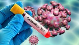 coronavirus