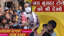 bhasha singh