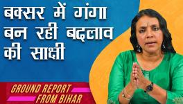 bhasha singh