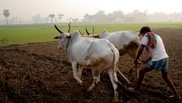 बिहार 