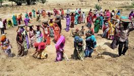 मनरेगा 