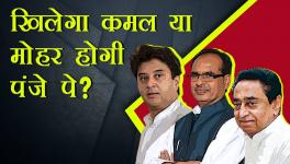 मध्य प्रदेश उपचुनाव