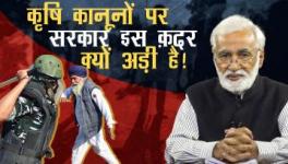 देश-विदेश की बड़ी कंपनियों की नज़र भारत के खाद्यान्न बाजार पर