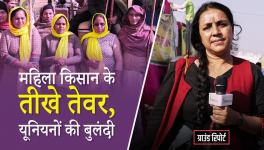 bhasha singh