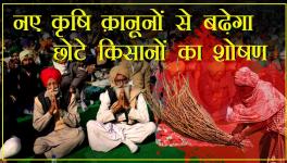नए कृषि क़ानूनों से बढ़ेगा छोटे किसानों का शोषण