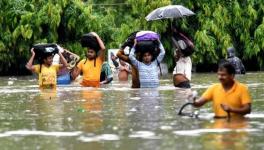 आईएमडी रिपोर्ट : प्रतिकूल मौसम  से सबसे अधिक मौतें बिहार और उत्तर प्रदेश में